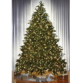 The World's Best Prelit Noble Fir w/LED Lights - Full - 4.5'